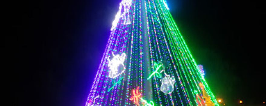 Plaza De Los Gallos