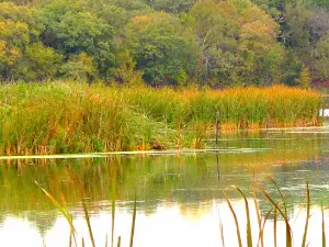 Grove Lake