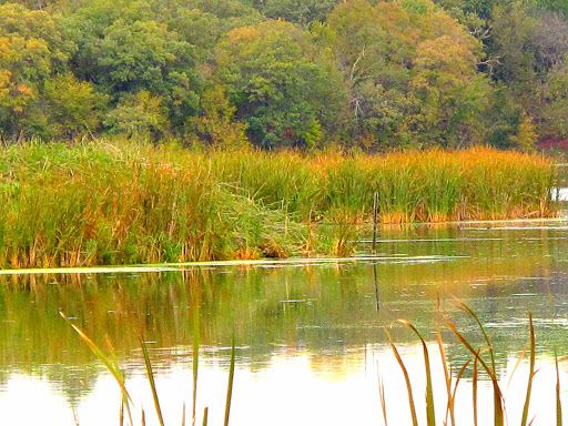 Grove Lake