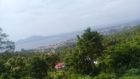 Sea Village Ranomauri field