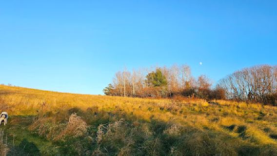 Woodsom Farm Park