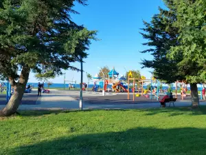 Green area