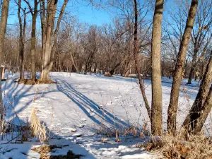 Mt. Vernon Dog Park