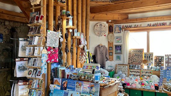 Art-Galereya Oshchepkovykh