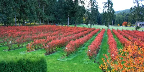 Silverside Farm & Winery