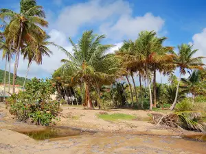 Los Limones Beach