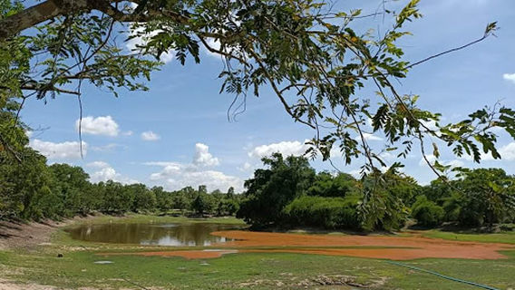 Phnom Tamao Wildlife Sanctuary