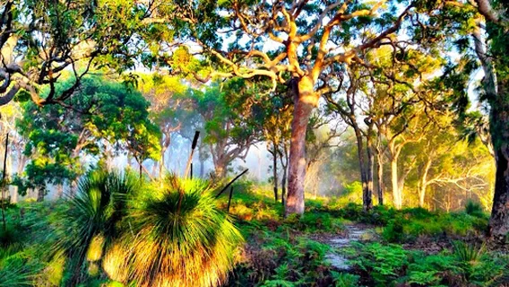 Pittwater Kayak Tours