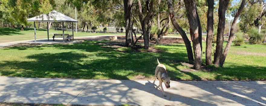 Kingsway Dog Park