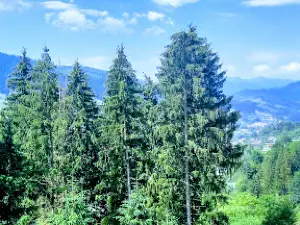 Lookout Tower
