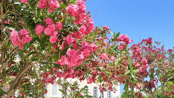 Iroon Politechniou Square