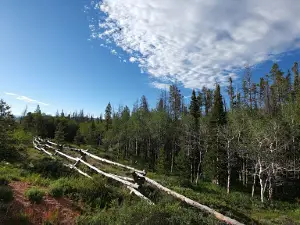 Bottle Creek Campground