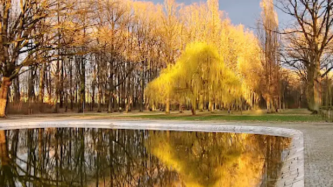 Park Wolności im. Juliusa Peppela