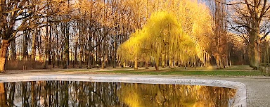 Park Wolności im. Juliusa Peppela
