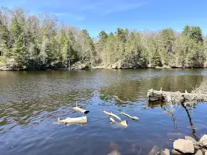 Lake Eau Claire Park