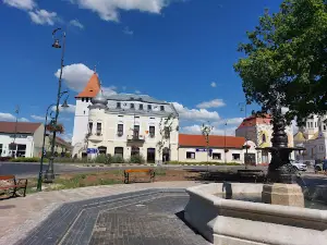 Muzeul Memorial Arany János