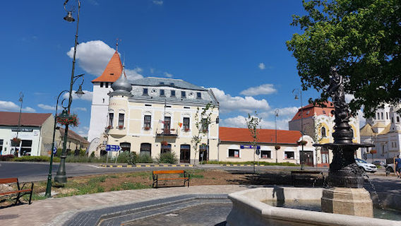 Muzeul Memorial Arany János