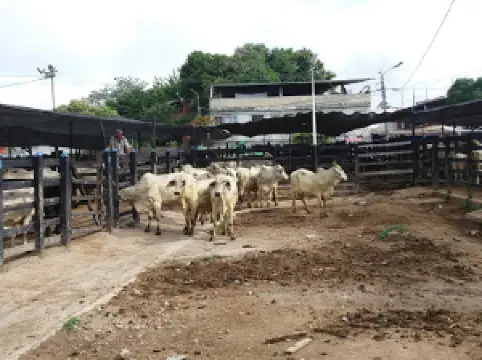 Parque Virgen del Carmen