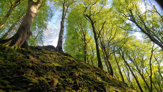 Groudle Glen Water Wheel