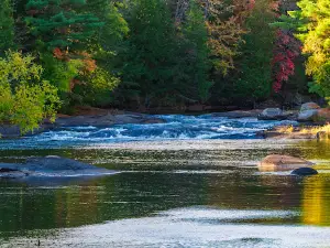Burnt River