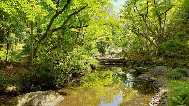 Kasamatsu Sports Park