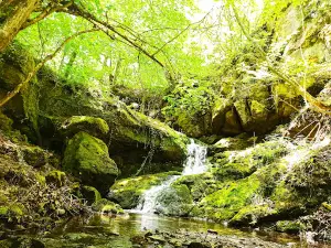 Secret Waterfalls Ecotrail