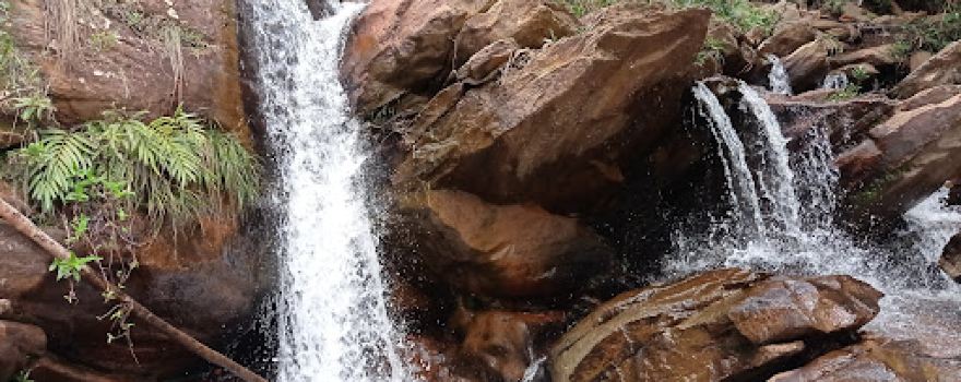 Waterfall Purple Ink