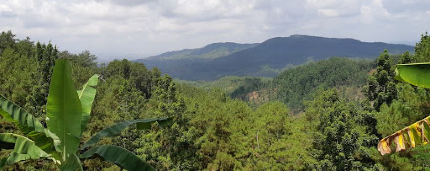 Bukit Kartapona
