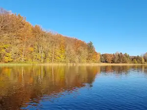 Piksborg
