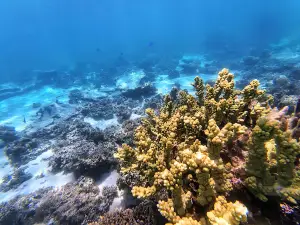 Five Fingers Reef