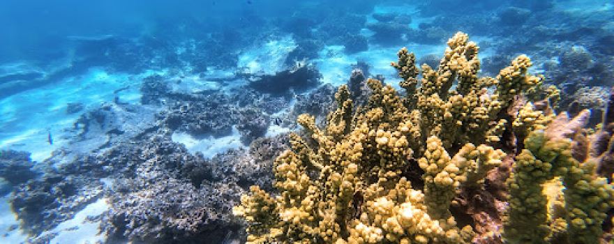 Five Fingers Reef