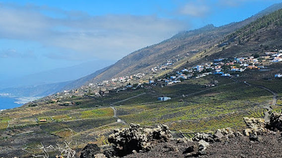 Roque Teneguía