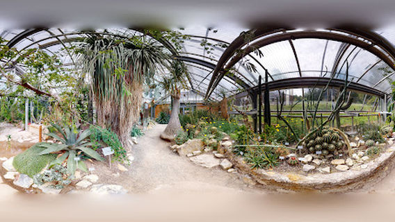 Universität Würzburg Botanical Garden