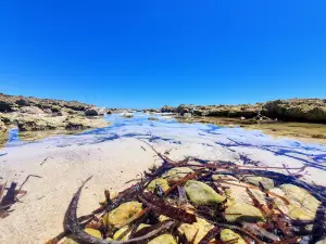 The Gap - Bush Campground