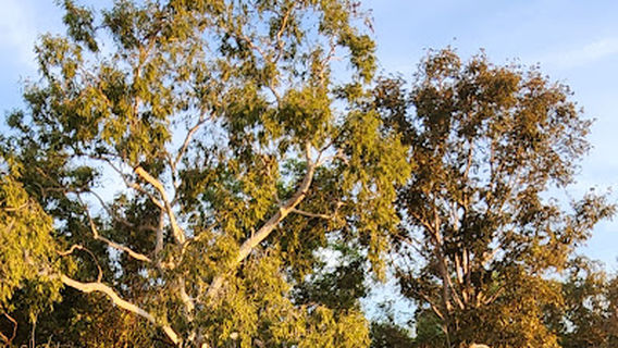 Harrison Dam Conservation Area