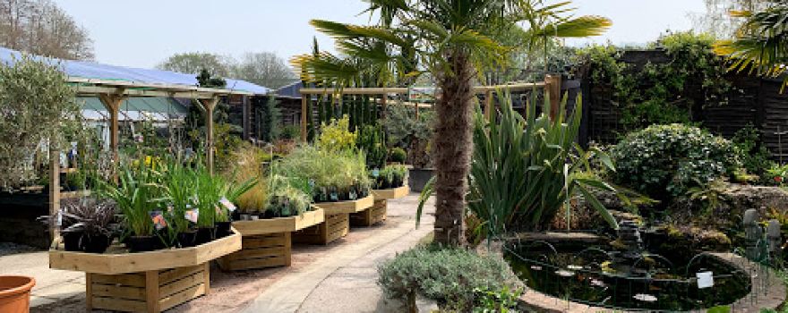 Millbrook Garden Centre