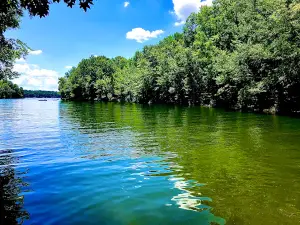 Tims Ford Lake