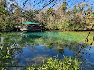 Ellie Schiller Homosassa Springs Wildlife State Park