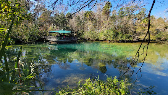 Ellie Schiller Homosassa Springs Wildlife State Park
