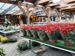 Garden Center "Green World Garden"