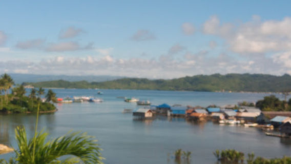 Lap. Futsal Cardinal Fish