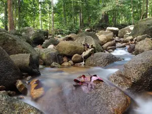 Hutan Lipur Menderu