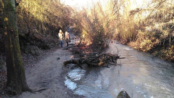 Puente Colgante de los Cahorros