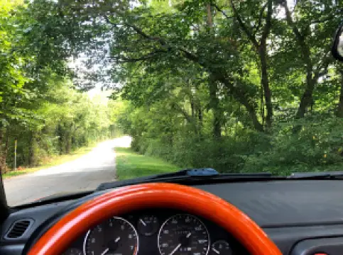 Thomas & Sons Pay Lake