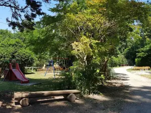 Camping des Claires