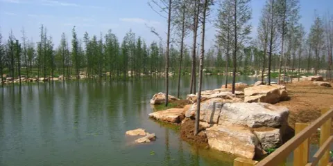 駟馬河公園