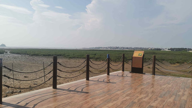 Meizhou Island Mangrove Ecological Park - Viewing Platform
