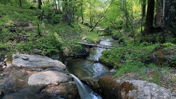 Jiulonggou Virgin Forest Scenic Area