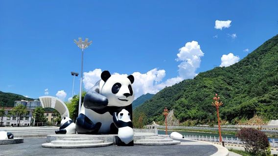 xiong mao diao su guang chang