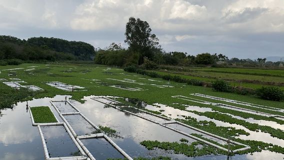 Tunchang